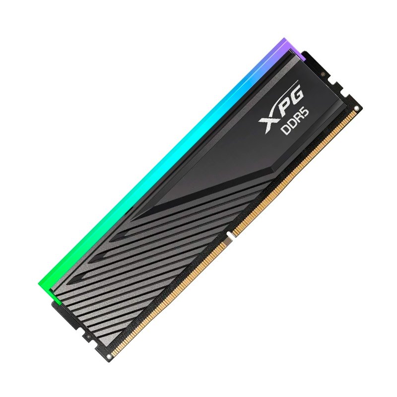 MEM RAM 8G XPG LAN RGB 5.60G ME8GXP560SLBBRG 1778187922